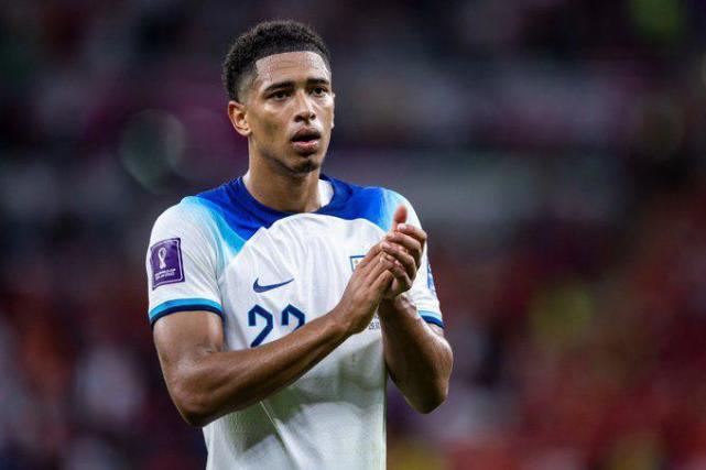 供了可借鉴 供了可借鉴