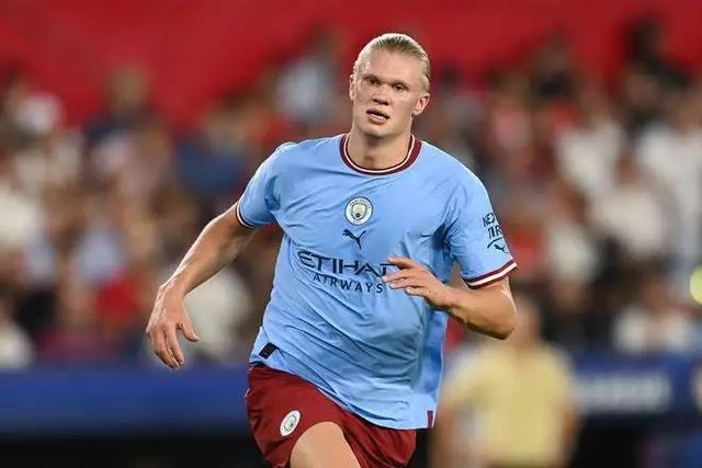 阶段性合练 阶段性合练